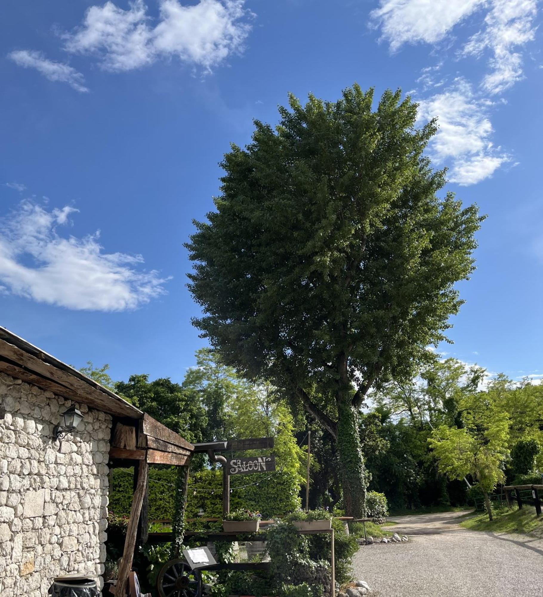 Agriturismo Al Ranch Castello d'Aviano Exterior photo