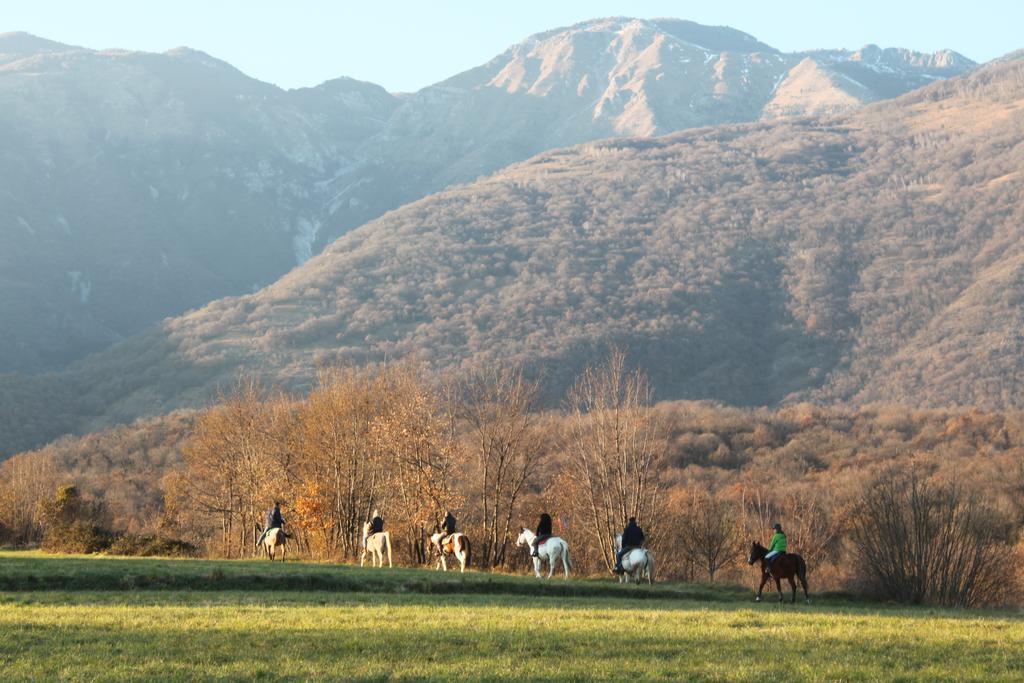 Agriturismo Al Ranch Castello d'Aviano Exterior photo